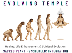 Evolving Temple